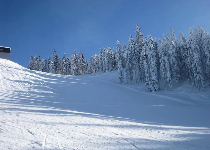 Appartamento Alexa Eben Im Pongau